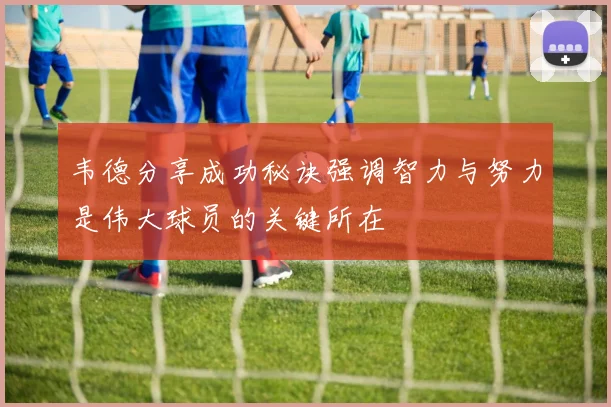 韦德分享成功秘诀强调智力与努力是伟大球员的关键所在